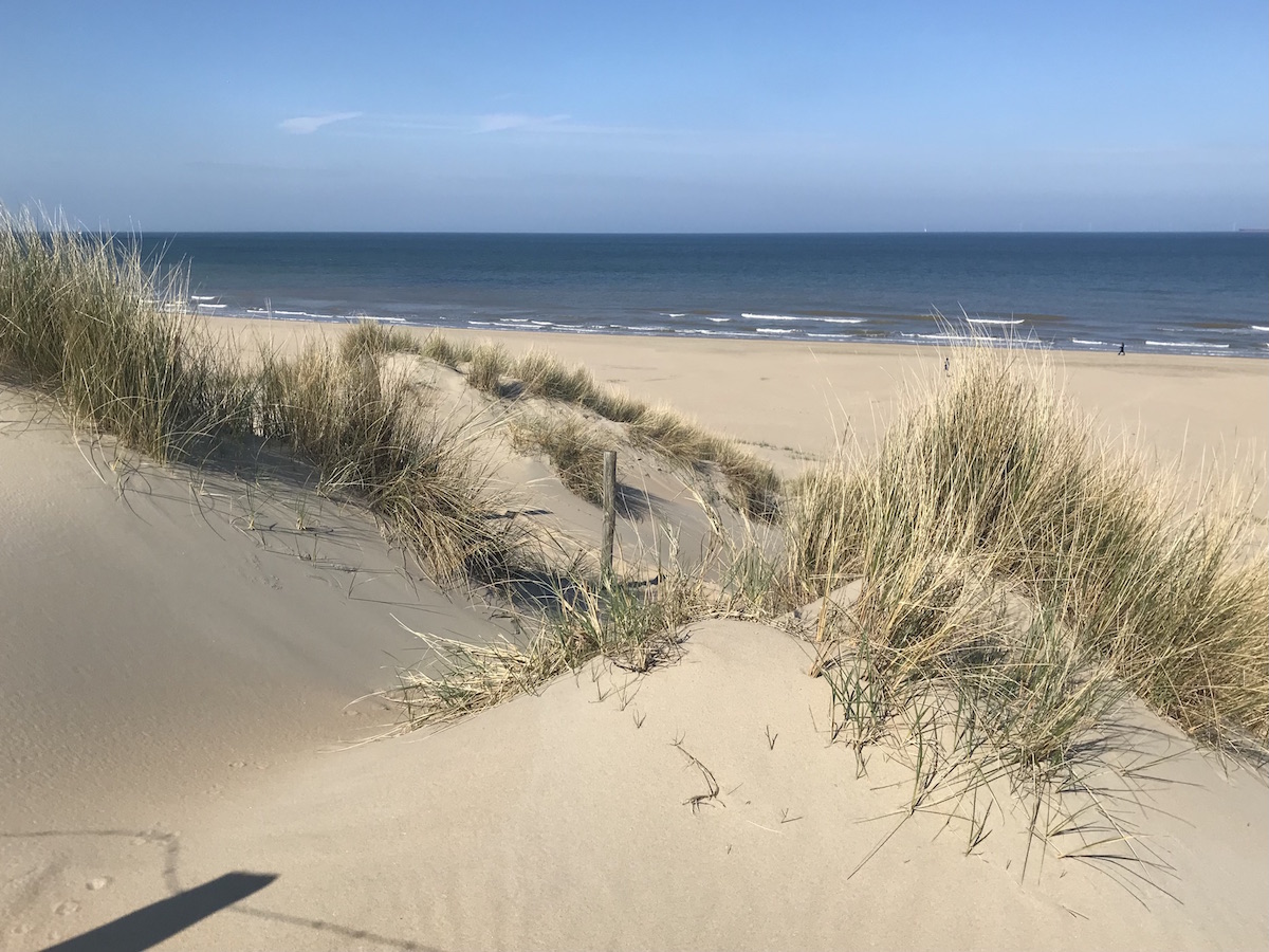 Strand medicijnwandeling